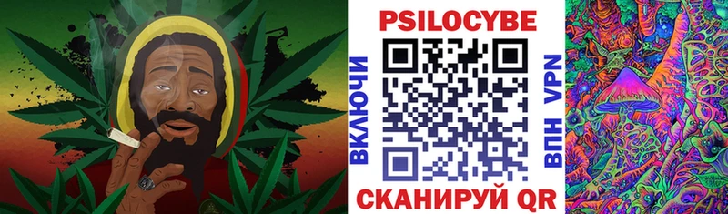 Галлюциногенные грибы Psilocybine cubensis  Жердевка 